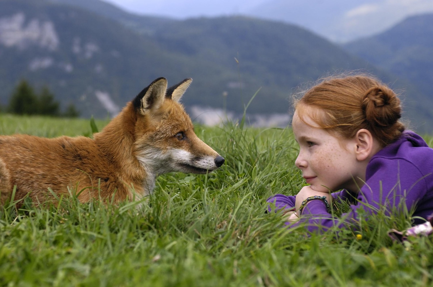 le-renard-et-l-enfant-le-renard-et-l-enfant-the-fox-and-the-child-12-12-2-8-g.jpg