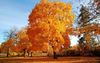 Automne