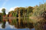 Automne 4