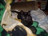 IMGP7457.JPG