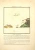 agaricus clavis - agaric clou.jpg