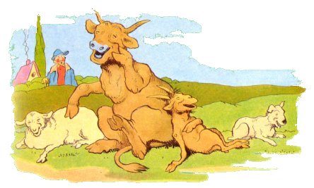 vache4.jpg
