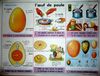 oeuf de poule affiche.JPG