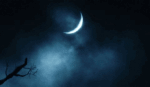 68cec1b43c38485793c6d875054d499d@2x.gif