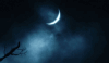 68cec1b43c38485793c6d875054d499d@2x.gif