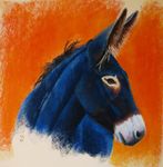 l-ane-bleu.jpg