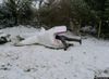 b7barequin-neige-545x398.jpg
