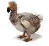 dodo-ile-maurice.jpg