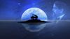 clair_de_lune_wallpaper_by_indonesianawl-d59nf8i.jpg