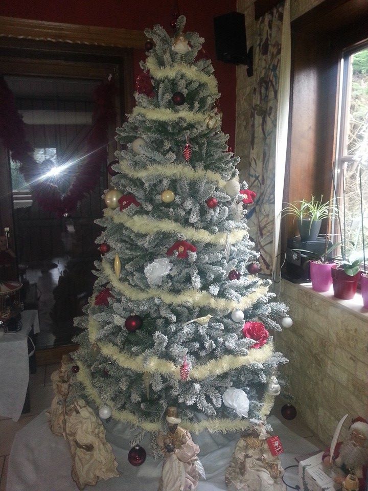 sapin2013.jpg