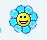 fleur.jpg