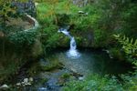 Un-petit-moment-de-fraicheur-a28680167.jpg