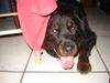 DSC00609.JPG