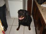 DSC00608.JPG