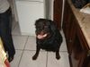 DSC00608.JPG