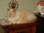 DSC00704.JPG