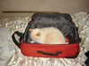 DSC01137.JPG