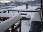 DSC01417.JPG