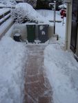 DSC01414.JPG
