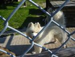 DSC02598.JPG
