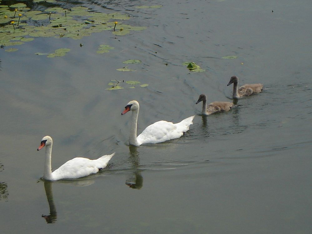 DSC02674.JPG