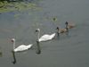 DSC02674.JPG