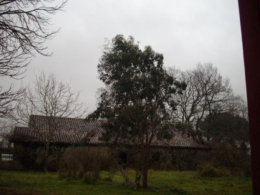 IMGP7547.JPG