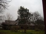 IMGP7547.JPG