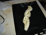 DSC04511.JPG