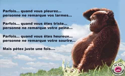 http://img.over-blog.com/497x304/0/39/29/54/poesie.jpg
