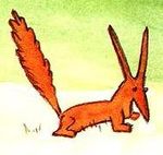 renard.jpg