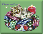 40a7617a.gif