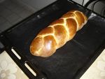 DSC04101.JPG
