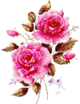 c6a4ca42.gif