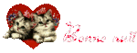 nuit6.gif