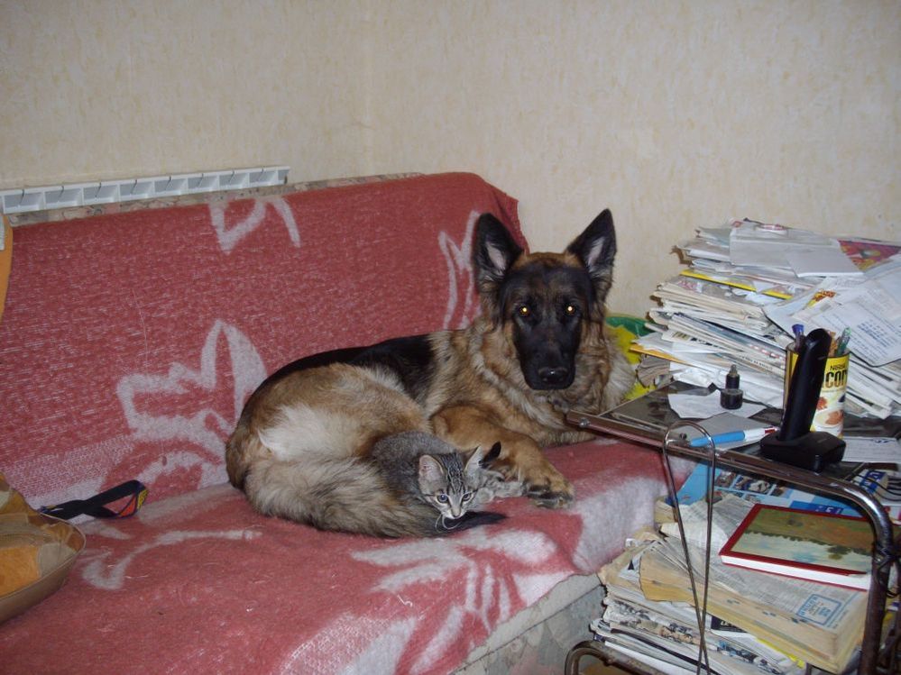 IMGP0348.JPG
