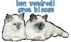 4add484a.jpg