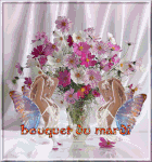 17685212.gif