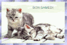 de9e5ed3.gif