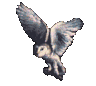 dyn001_original_134_120_gif__d96be0fb0866300c87f70dde9137b5ca.gif