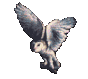 dyn001_original_134_120_gif__d96be0fb0866300c87f70dde9137b5ca.gif