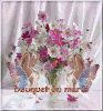 17685212.gif
