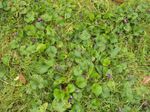 DSC00384.JPG