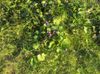 DSC00408.JPG