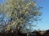 DSC00412.JPG