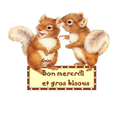 87230646_p.gif