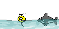 tiburones.gif