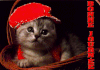 n6ntnr0f.gif