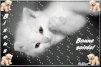 8e3f82b7.gif