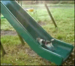 ;